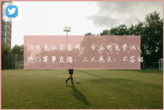 im电竞体育官网，专业电竞资讯，热门赛事直播，三大亮点，不容错过