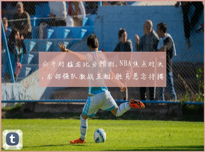 公牛对猛龙比分预测,NBA焦点对决,东部强队激战正酣,胜负悬念待揭晓,谁将问鼎