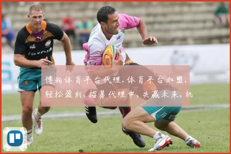 博狗体育平台代理,体育平台加盟,轻松盈利,招募代理中,共赢未来,机遇不容错过